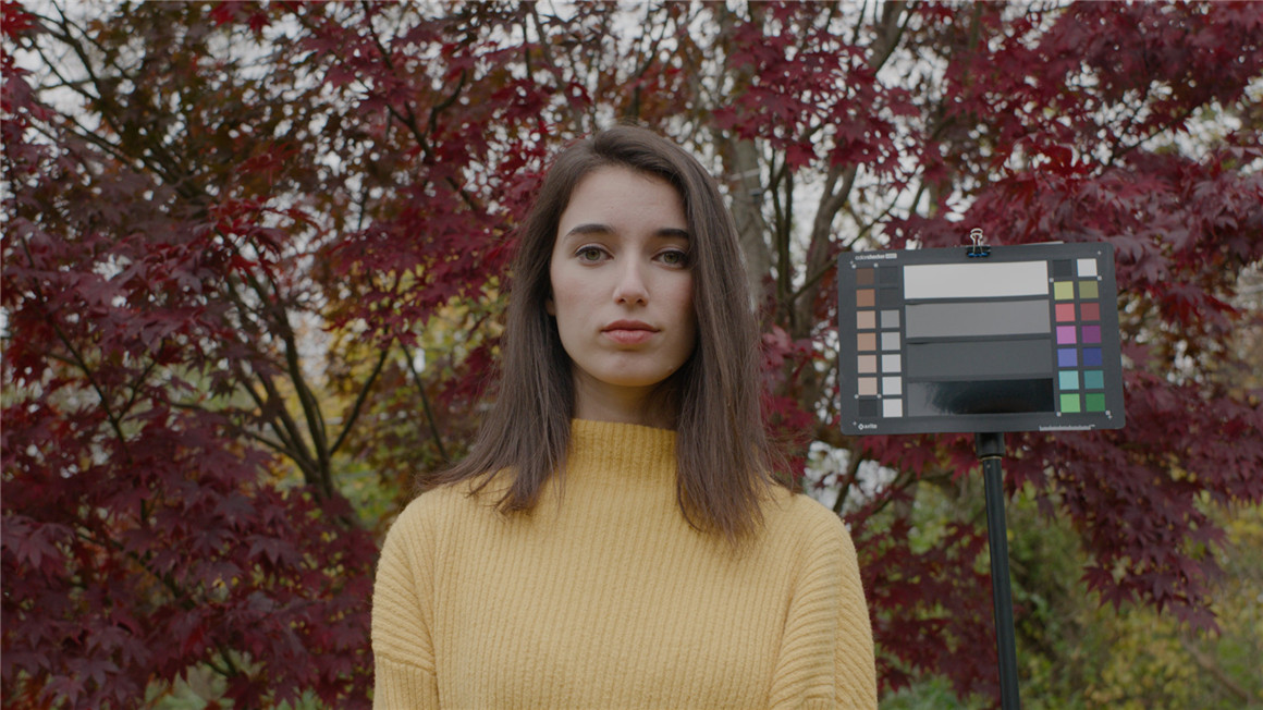 Emotive Color 松下GH5转阿莱色彩LUT调色预设包 GH5 CONVERTS ALEXA EMOTIVE COLOR GHALEX LUTS 插件预设 sucaiwan.com