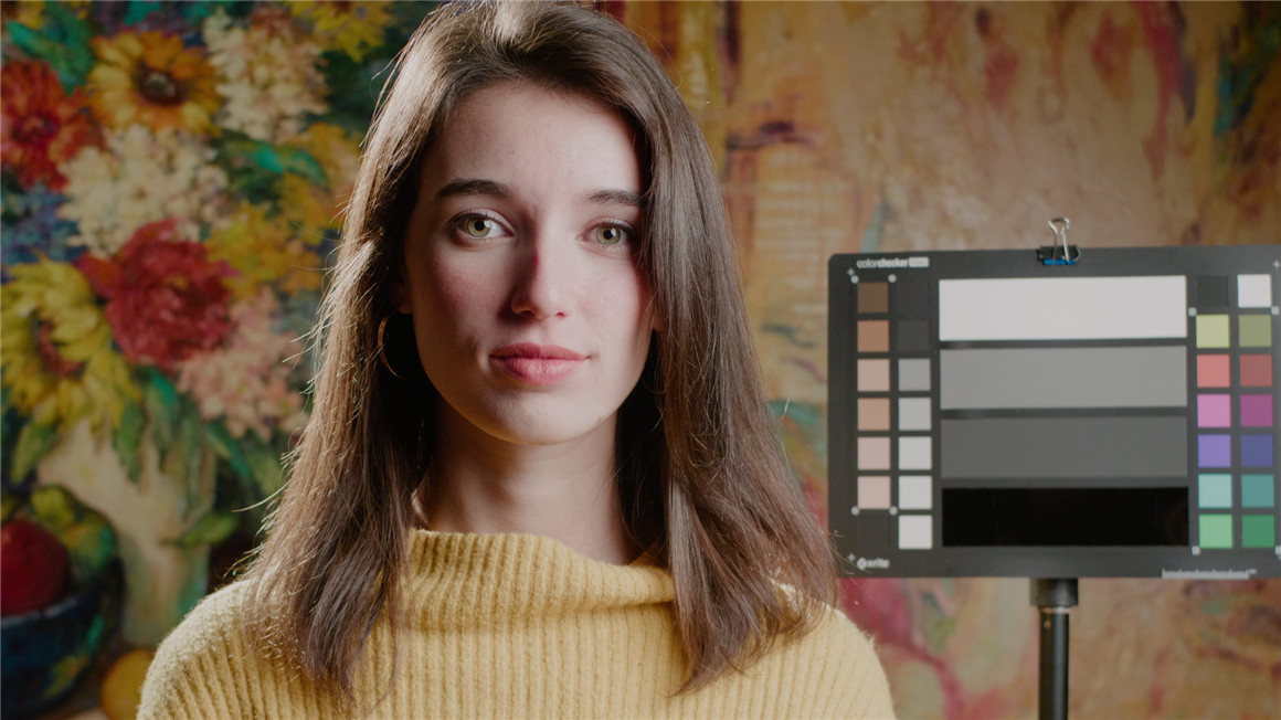 Emotive Color 松下GH5转阿莱色彩LUT调色预设包 GH5 CONVERTS ALEXA EMOTIVE COLOR GHALEX LUTS 插件预设 sucaiwan.com