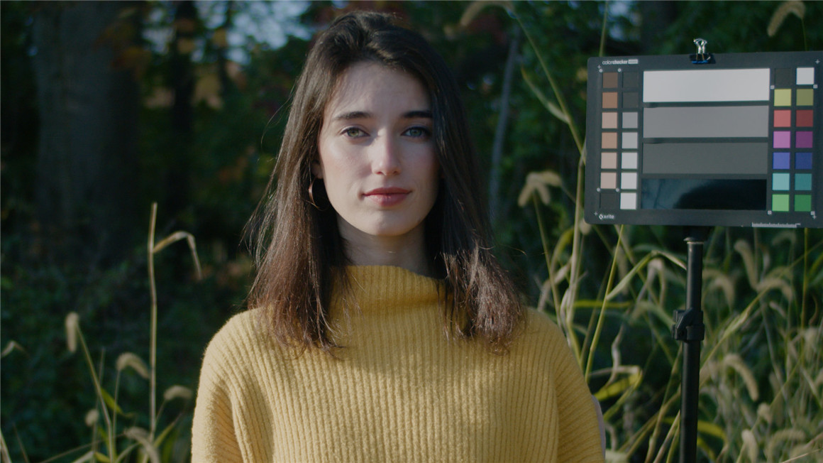 Emotive Color 松下GH5转阿莱色彩LUT调色预设包 GH5 CONVERTS ALEXA EMOTIVE COLOR GHALEX LUTS 插件预设 sucaiwan.com