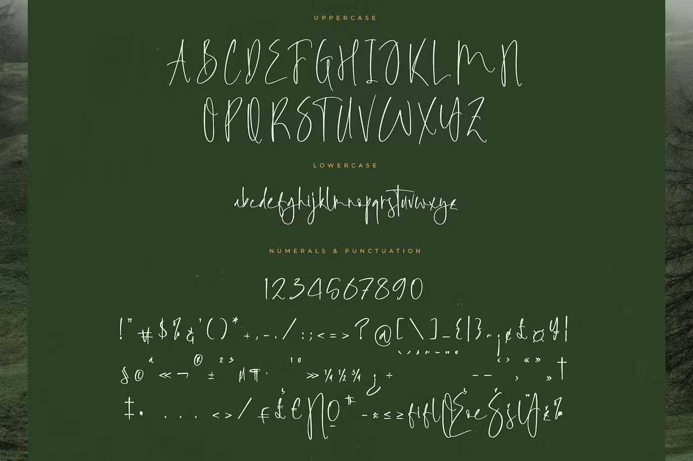 现代优雅飘逸潇洒手绘书法手写签名品牌海报标题LOGO徽标设计PSAI英文字体下载 Foresta Heights Freestyle Stylish Font 设计素材 sucaiwan.com