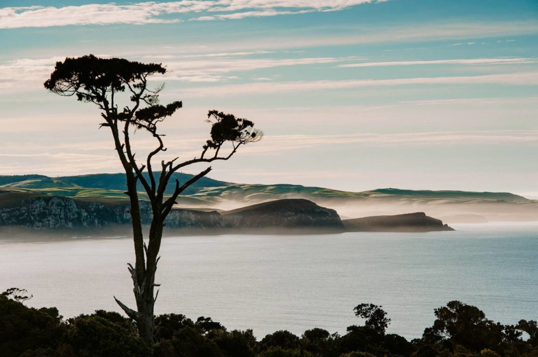 索尼/佳能/富士/尼康胶片模拟电影质感蓝绿色旅行摄影照片调色Lightroom预设包 DVLOP – Chris Burkard – Sunlight 插件预设 第16张-素材湾丨精选海外优质设计素材资源 索尼/佳能/富士/尼康胶片模拟电影质感蓝绿色旅行摄影照片调色Lightroom预设包 DVLOP – Chris Burkard – Sunlight 插件预设 sucaiwan.com