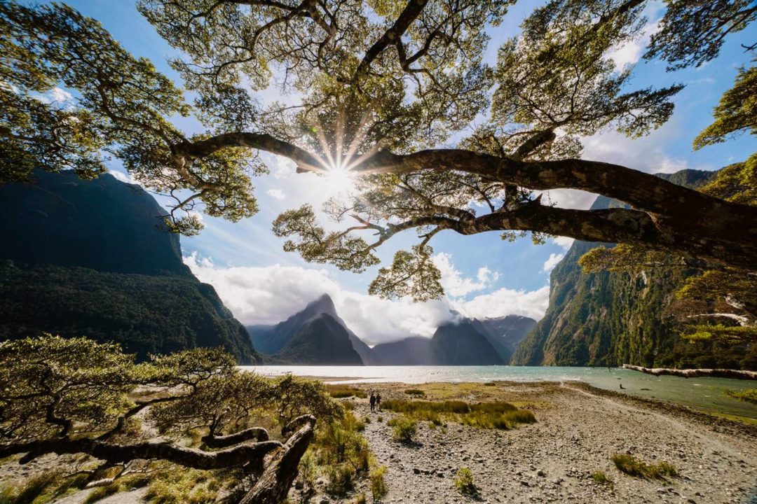 索尼/佳能/富士/尼康胶片模拟电影质感蓝绿色旅行摄影照片调色Lightroom预设包 DVLOP – Chris Burkard – Sunlight 插件预设 第19张-素材湾丨精选海外优质设计素材资源 索尼/佳能/富士/尼康胶片模拟电影质感蓝绿色旅行摄影照片调色Lightroom预设包 DVLOP – Chris Burkard – Sunlight 插件预设 sucaiwan.com