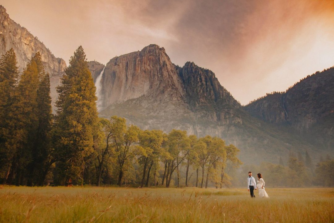 36组复古胶片模拟婚礼人像摄影照片AI智能调色Lightroom预设包 Athena & Cameron: Seasons AI desktop 插件预设 第3张-素材湾丨精选海外优质设计素材资源 36组复古胶片模拟婚礼人像摄影照片AI智能调色Lightroom预设包 Athena & Cameron: Seasons AI desktop 插件预设 sucaiwan.com