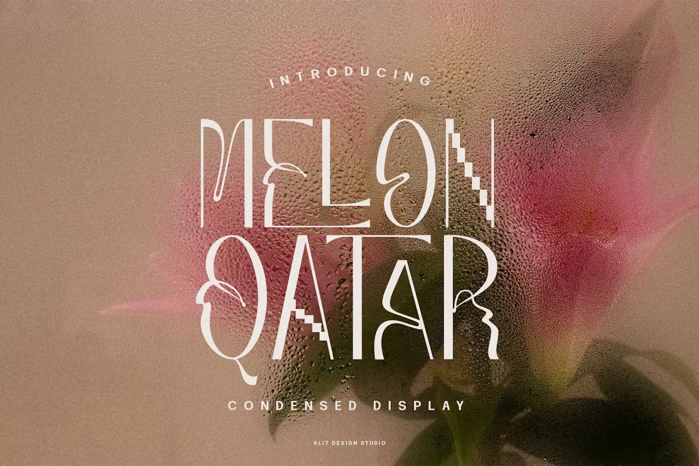 现代复古波西米亚风品牌海报徽标设计无衬线英文字体安装包 Melon Qatar Typeface 设计素材 sucaiwan.com