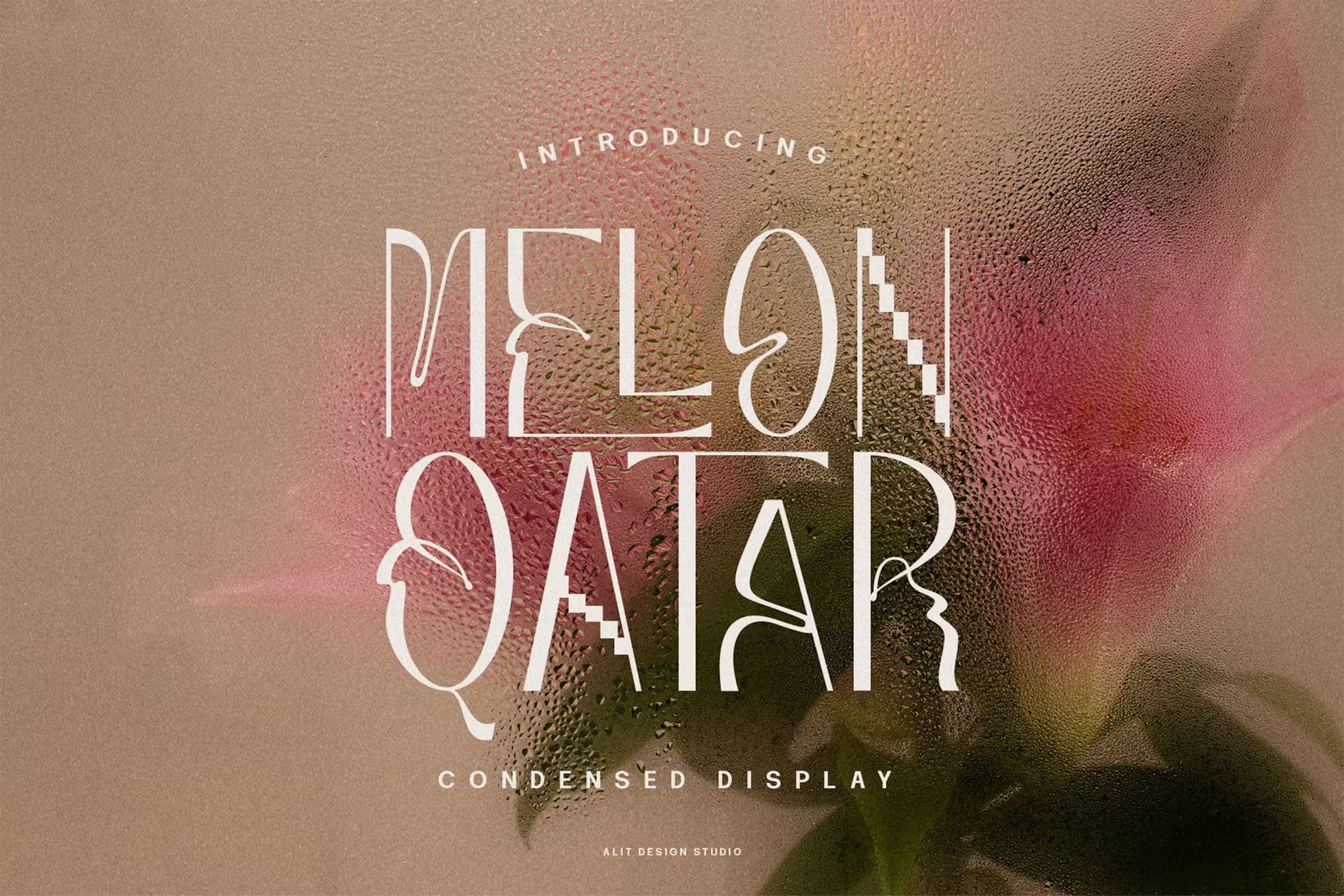 现代复古波西米亚风品牌海报徽标设计无衬线英文字体安装包 Melon Qatar Typeface 设计素材 sucaiwan.com