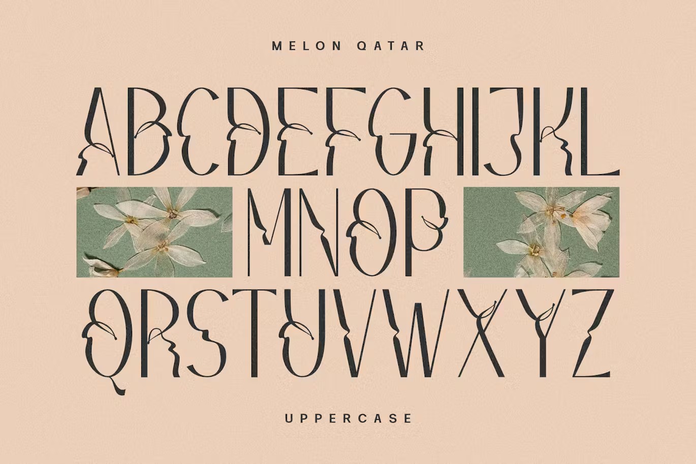 现代复古波西米亚风品牌海报徽标设计无衬线英文字体安装包 Melon Qatar Typeface 设计素材 sucaiwan.com