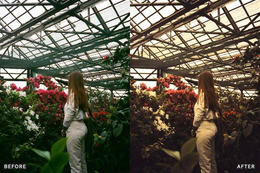 怀旧美学暖色调电影风景都市摄影照片调色Lightroom预设包 Golden Film Cinematic Lightroom Presets 插件预设 第8张-素材湾丨精选海外优质设计素材资源 怀旧美学暖色调电影风景都市摄影照片调色Lightroom预设包 Golden Film Cinematic Lightroom Presets 插件预设 sucaiwan.com