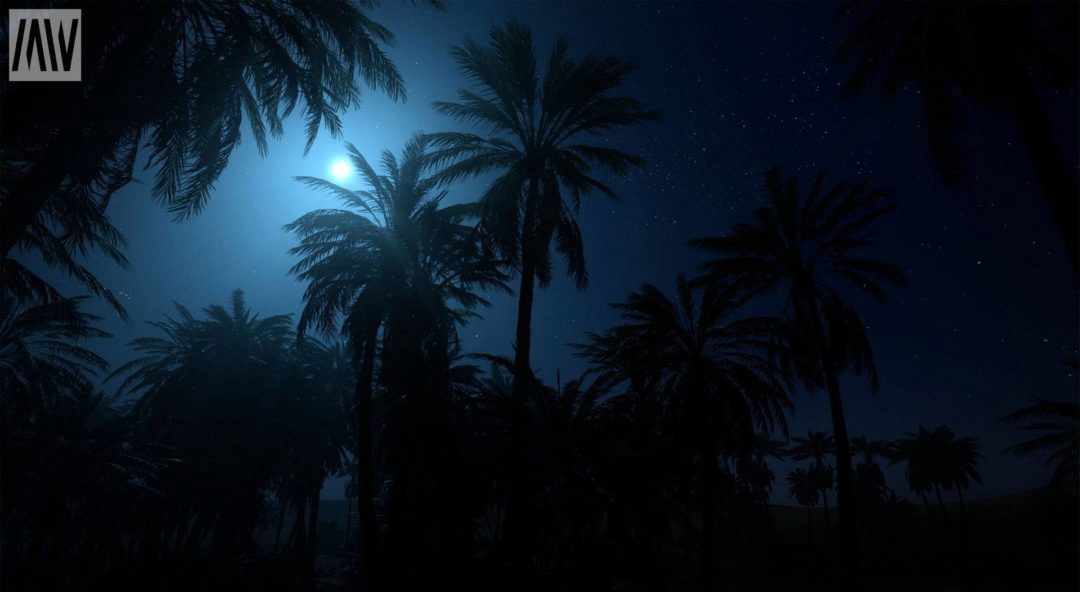 UE素材 沙漠戈壁绿洲椰子棕榈树湖泊场景3D模型素材 Unreal Engine – Dune Desert Landscape 样机素材 sucaiwan.com