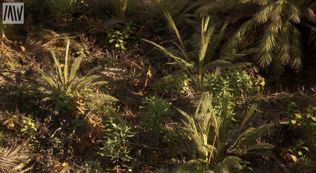 UE素材 沙漠戈壁绿洲椰子棕榈树湖泊场景3D模型素材 Unreal Engine – Dune Desert Landscape 样机素材 sucaiwan.com