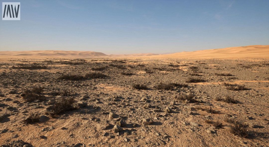 UE素材 沙漠戈壁绿洲椰子棕榈树湖泊场景3D模型素材 Unreal Engine – Dune Desert Landscape 样机素材 sucaiwan.com