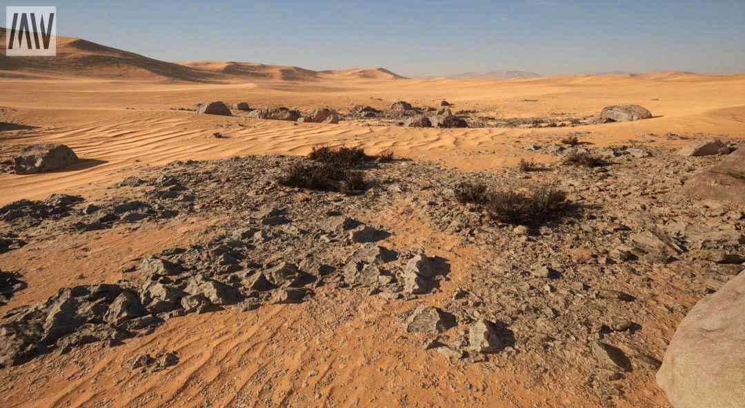 UE素材 沙漠戈壁绿洲椰子棕榈树湖泊场景3D模型素材 Unreal Engine – Dune Desert Landscape 样机素材 sucaiwan.com