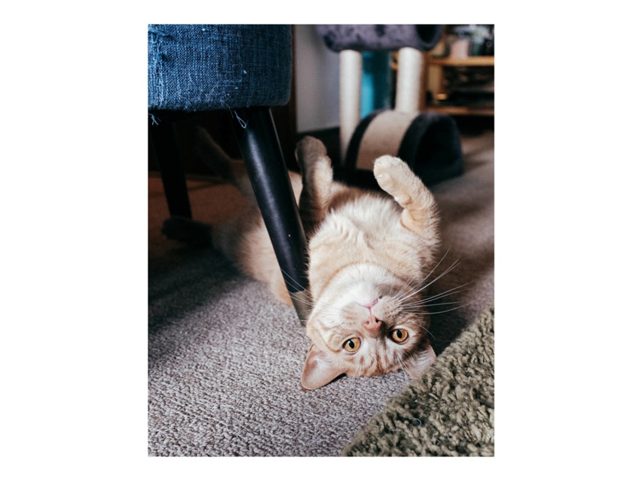 柯达Kodachrome 64胶片颗粒纹理仿真模拟旅行摄影照片调色Lightroom预设 Kodak Kodachrome 64 Preset for Lightroom | Lightroom & LR Classic | Digital 插件预设 sucaiwan.com