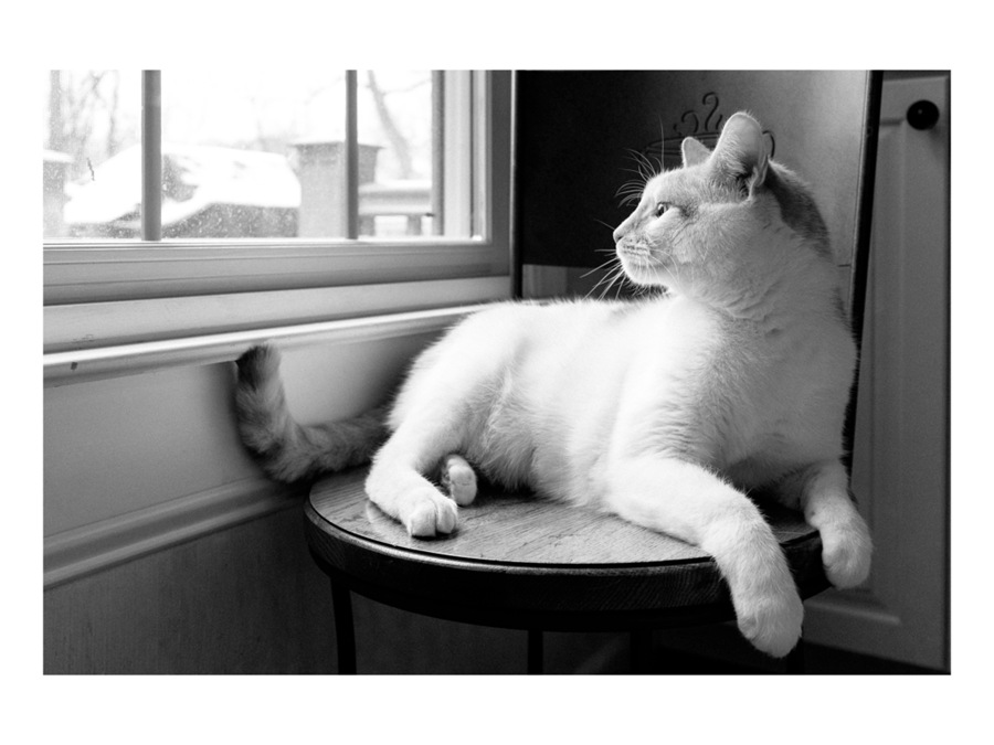 独特美学永恒怀旧风格旅行街拍照片调色Lightroom预设包 Alex Ruskman AGFA Collection 插件预设 第2张-素材湾丨精选海外优质设计素材资源 独特美学永恒怀旧风格旅行街拍照片调色Lightroom预设包 Alex Ruskman AGFA Collection 插件预设 sucaiwan.com