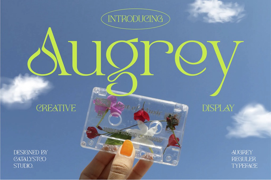 英文字体：夏日氛围感极简趣味标题排版无衬线装饰英文字体 Augrey Creative Display 设计素材 sucaiwan.com