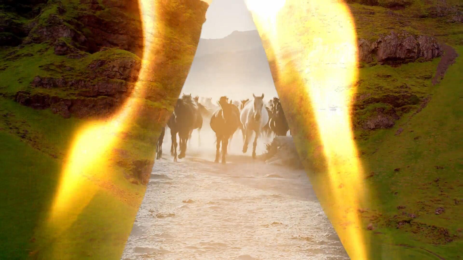 达芬奇模板：20个复古真实纸燃烧火焰火花刻录转场过渡 , sucaiwan.com