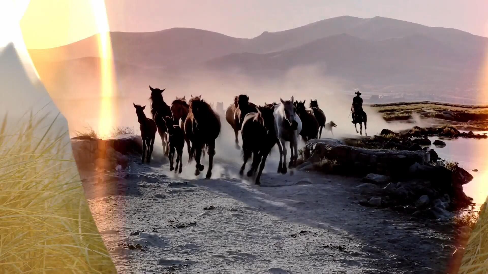 达芬奇模板：20个复古真实纸燃烧火焰火花刻录转场过渡 , sucaiwan.com