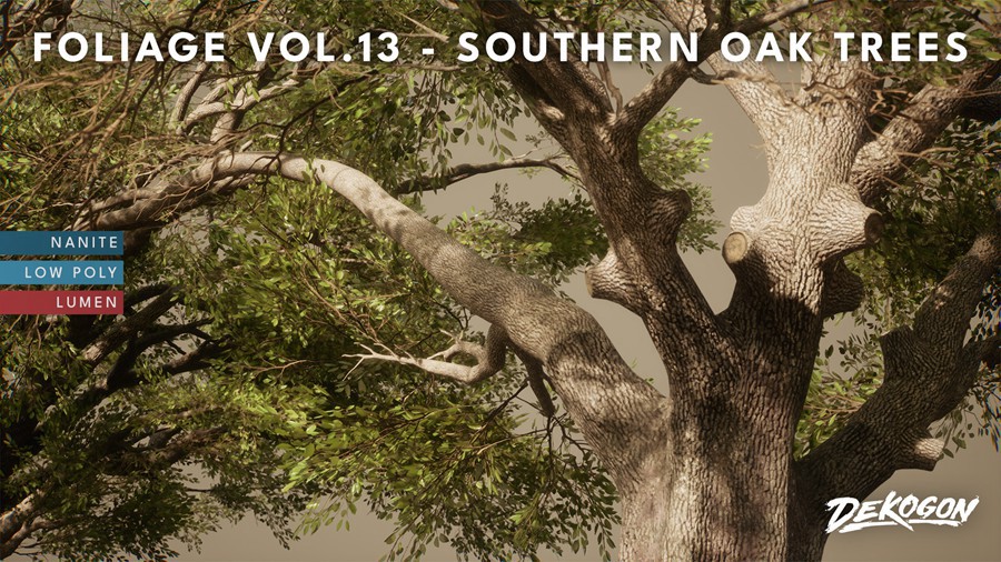 真实丛林树木灌木丛3d模型ue设计素材 Foliage VOL.13 – Southern Oak Trees 样机素材 第1张-素材湾丨精选海外优质设计素材资源 真实丛林树木灌木丛3d模型ue设计素材 Foliage VOL.13 – Southern Oak Trees 样机素材 sucaiwan.com