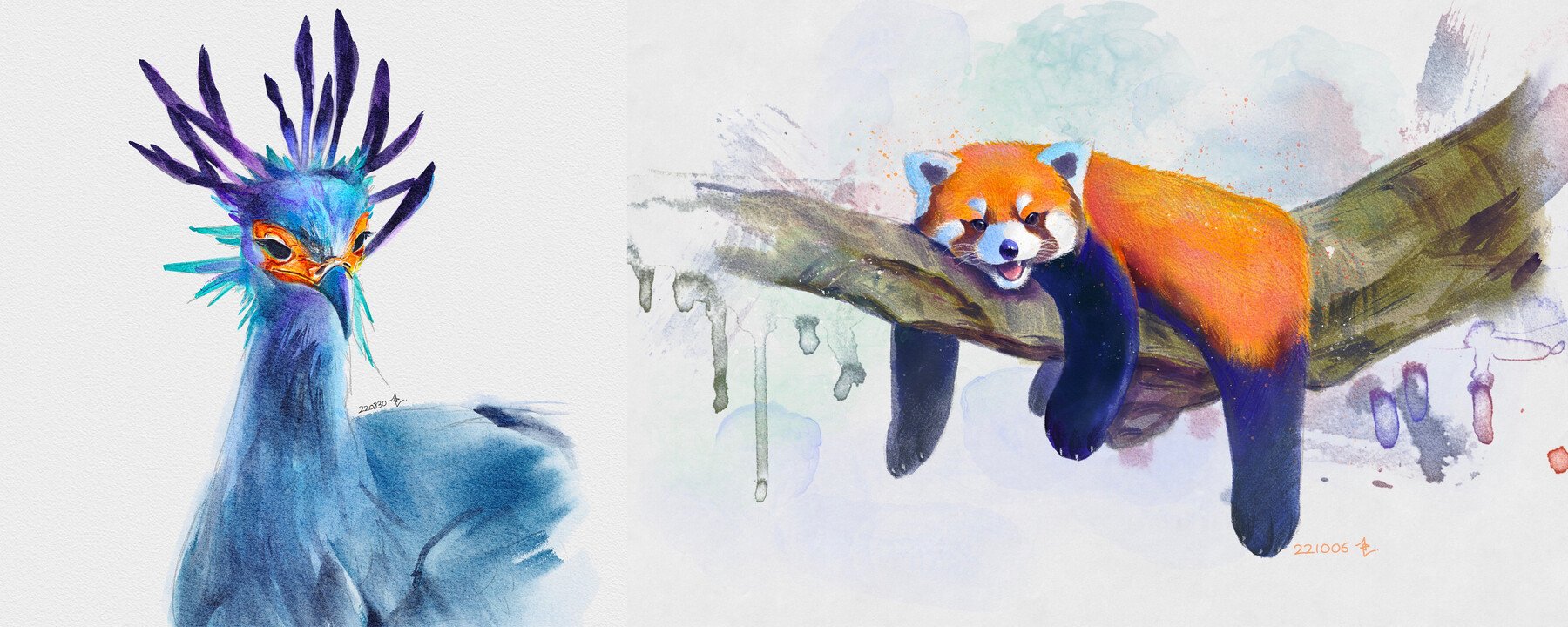 逼真水彩绘画效果笔刷纸张纹理图片调色板Procreate设计素材 COFE’s Real Watercolor Pack for Procreate 笔刷资源 第12张-素材湾丨精选海外优质设计素材资源 逼真水彩绘画效果笔刷纸张纹理图片调色板Procreate设计素材 COFE’s Real Watercolor Pack for Procreate 笔刷资源 sucaiwan.com