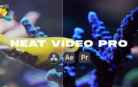 AE/PR/达芬奇插件:专业视频降噪插件Neat Video Pro 5.6.5 for Win