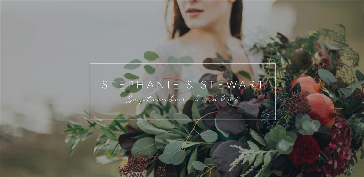 MotionVFX – mWedding 梦幻优雅永恒浪漫婚礼电影感文字标题转场+LUT预设FCPX插件包 插件预设 第3张-素材湾丨精选海外优质设计素材资源 MotionVFX – mWedding 梦幻优雅永恒浪漫婚礼电影感文字标题转场+LUT预设FCPX插件包 插件预设 sucaiwan.com