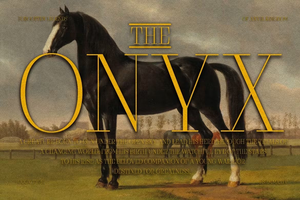 优雅复古杂志海报包装电影设计衬线英文字体安装包 Claserie 设计素材 sucaiwan.com