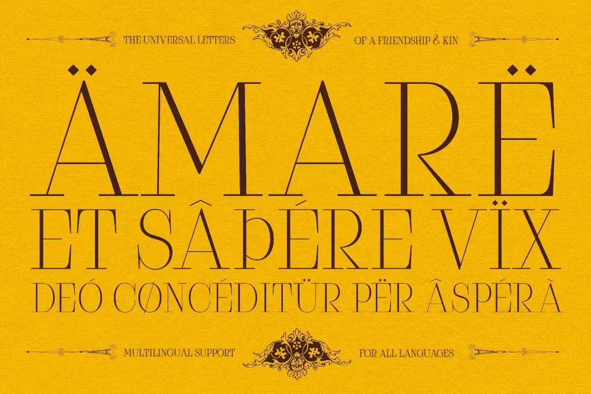 优雅复古杂志海报包装电影设计衬线英文字体安装包 Claserie 设计素材 sucaiwan.com