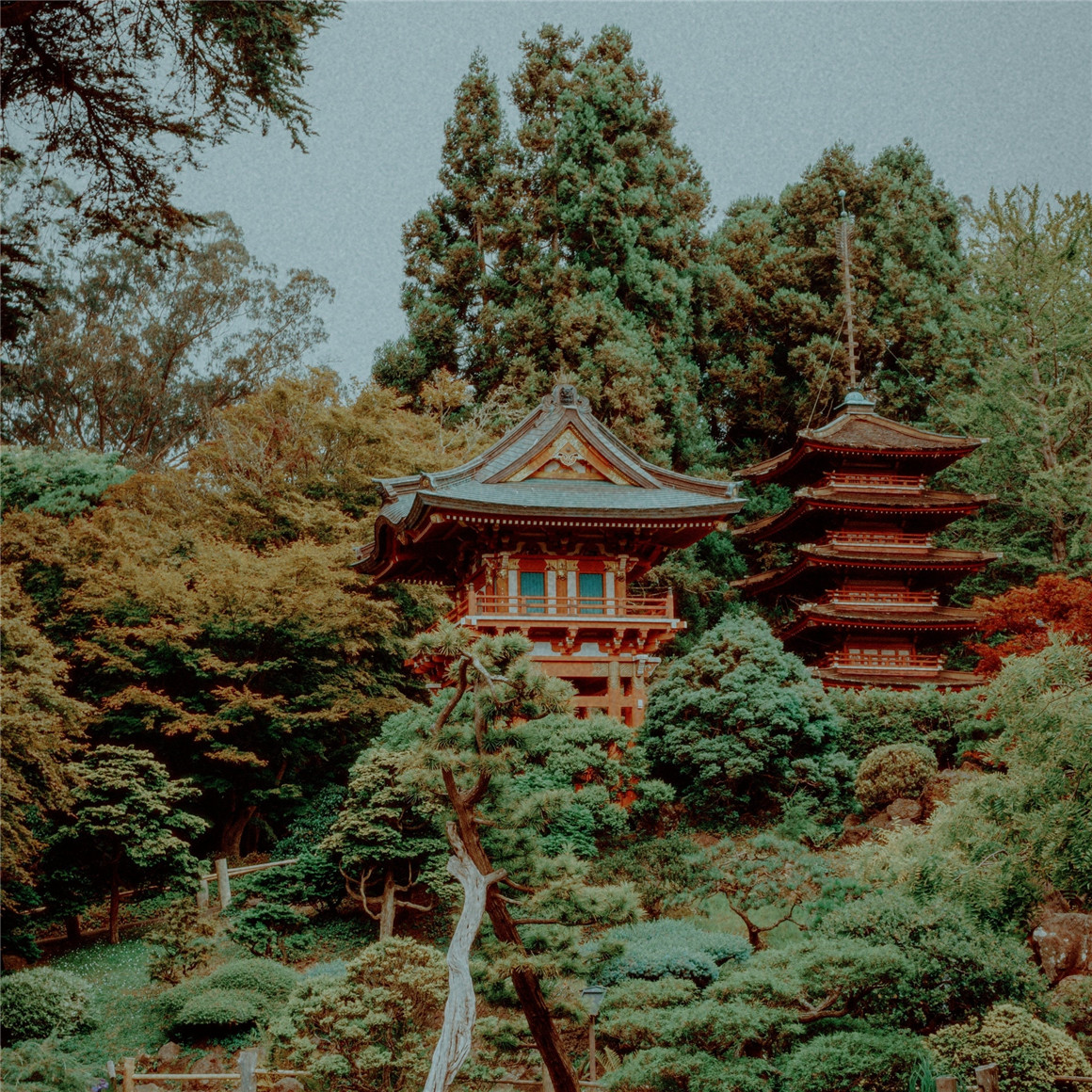 柯达16mm复古电影胶片模拟LUT调色预设 Analogica Lab Super16 kodak 200t film lut for rec709 , 第6张-素材湾丨精选海外优质设计素材资源 柯达16mm复古电影胶片模拟LUT调色预设 Analogica Lab Super16 kodak 200t film lut for rec709 , sucaiwan.com