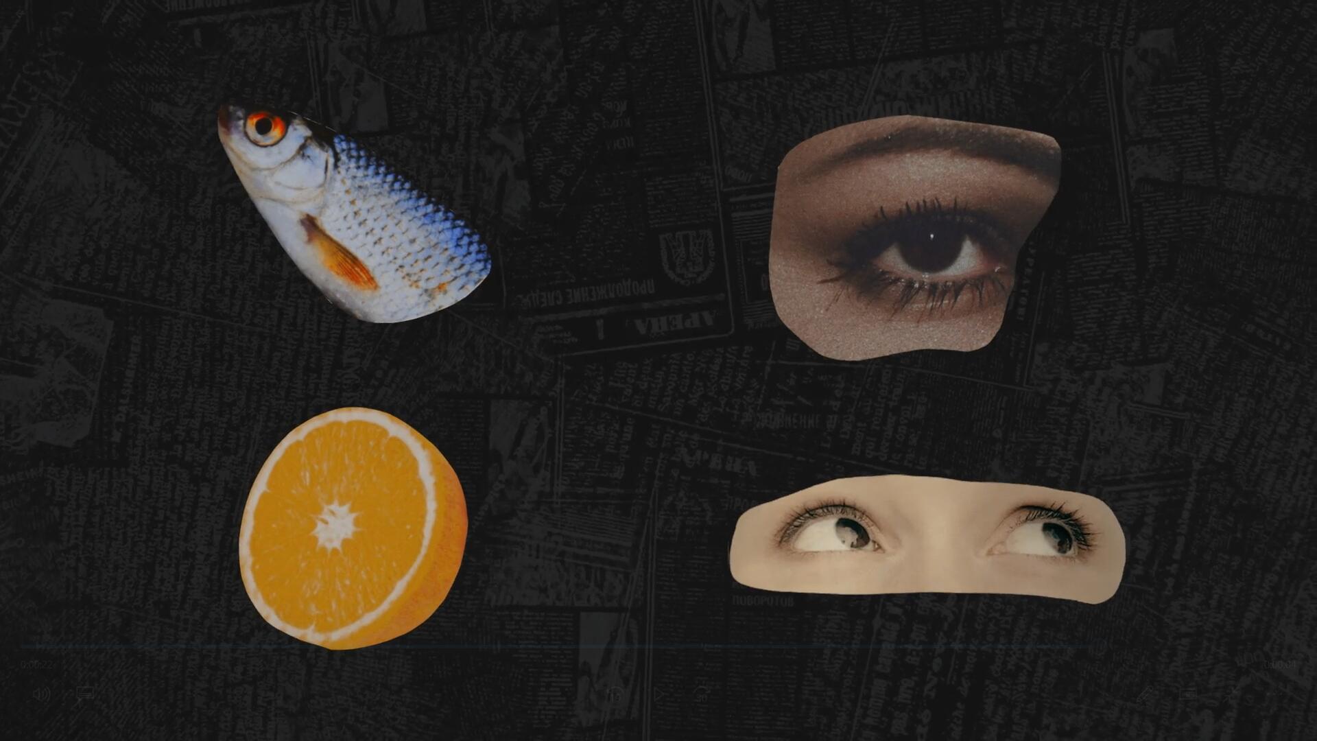 AE模板:40个复古拼贴艺术剪切建筑景点食物动物竖屏动画元素包 影视音频 第3张-素材湾丨精选海外优质设计素材资源 AE模板:40个复古拼贴艺术剪切建筑景点食物动物竖屏动画元素包 影视音频 sucaiwan.com