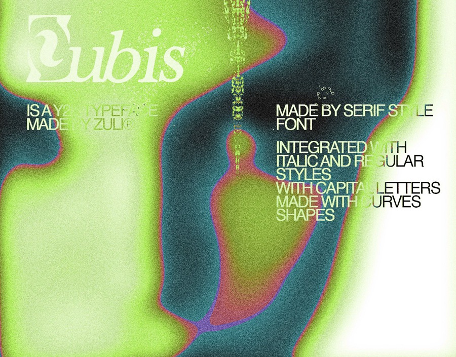 复古Y2K抽象艺术衬线装饰标题logo徽标排版英文字体 Zübis Typeface 设计素材 sucaiwan.com