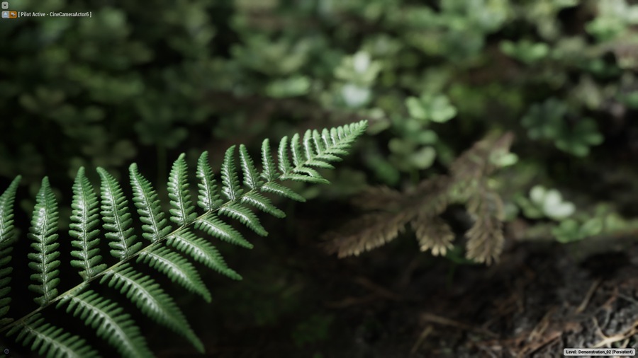 UE素材 虚拟引擎森林草木岩石河流3D模型 Unreal Engine – The Forest v1.5 样机素材 sucaiwan.com