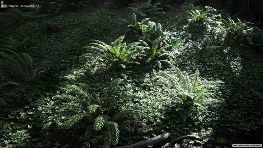 UE素材 虚拟引擎森林草木岩石河流3D模型 Unreal Engine – The Forest v1.5 样机素材 sucaiwan.com