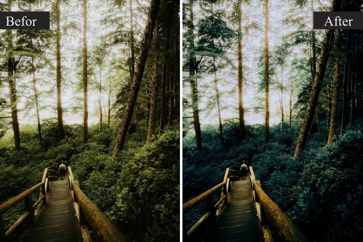 现代旅行婚礼胶片模拟照片后期调色Lightroom预设 Nature Ultra Lightroom Presets 插件预设 sucaiwan.com