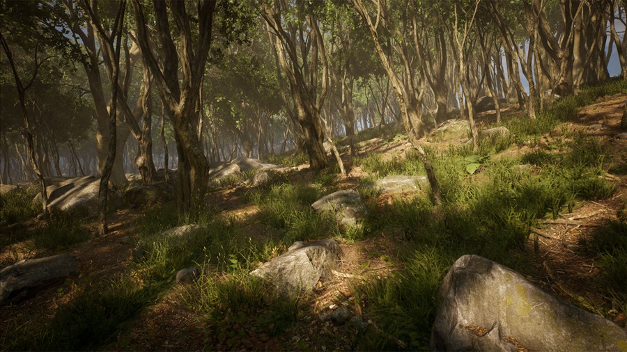 UE素材 虚拟引擎森林树木山地岩石3D模型 Unreal Engine – Leaf Tree Forest Biome , sucaiwan.com