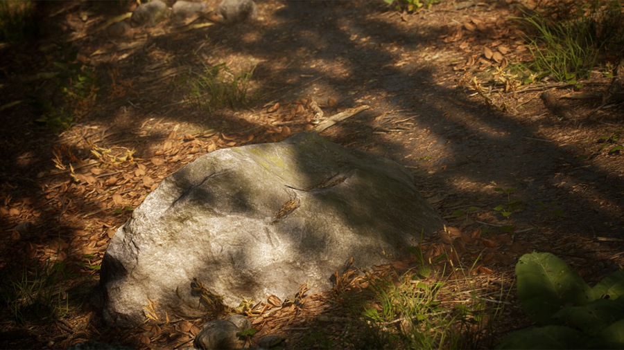 UE素材 虚拟引擎森林树木山地岩石3D模型 Unreal Engine – Leaf Tree Forest Biome , sucaiwan.com