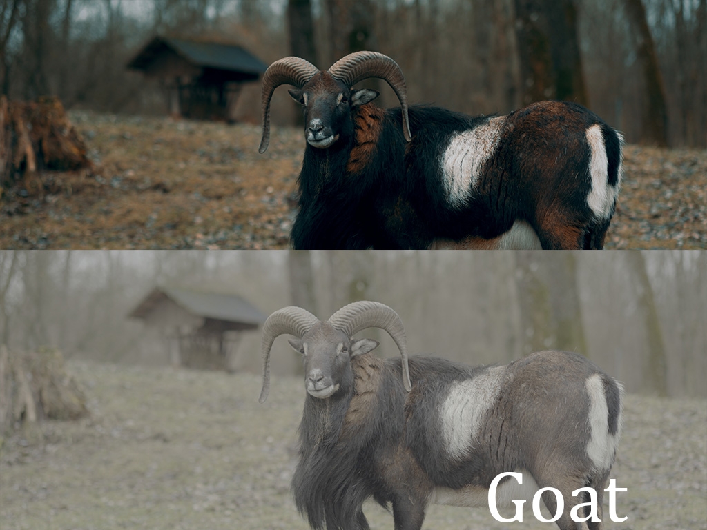 Benedikt Meyer 多维度旅拍景观vlog电影感索尼S-LOG 3预设包 Movie Bundle 插件预设 第2张-素材湾丨精选海外优质设计素材资源 Benedikt Meyer 多维度旅拍景观vlog电影感索尼S-LOG 3预设包 Movie Bundle 插件预设 sucaiwan.com