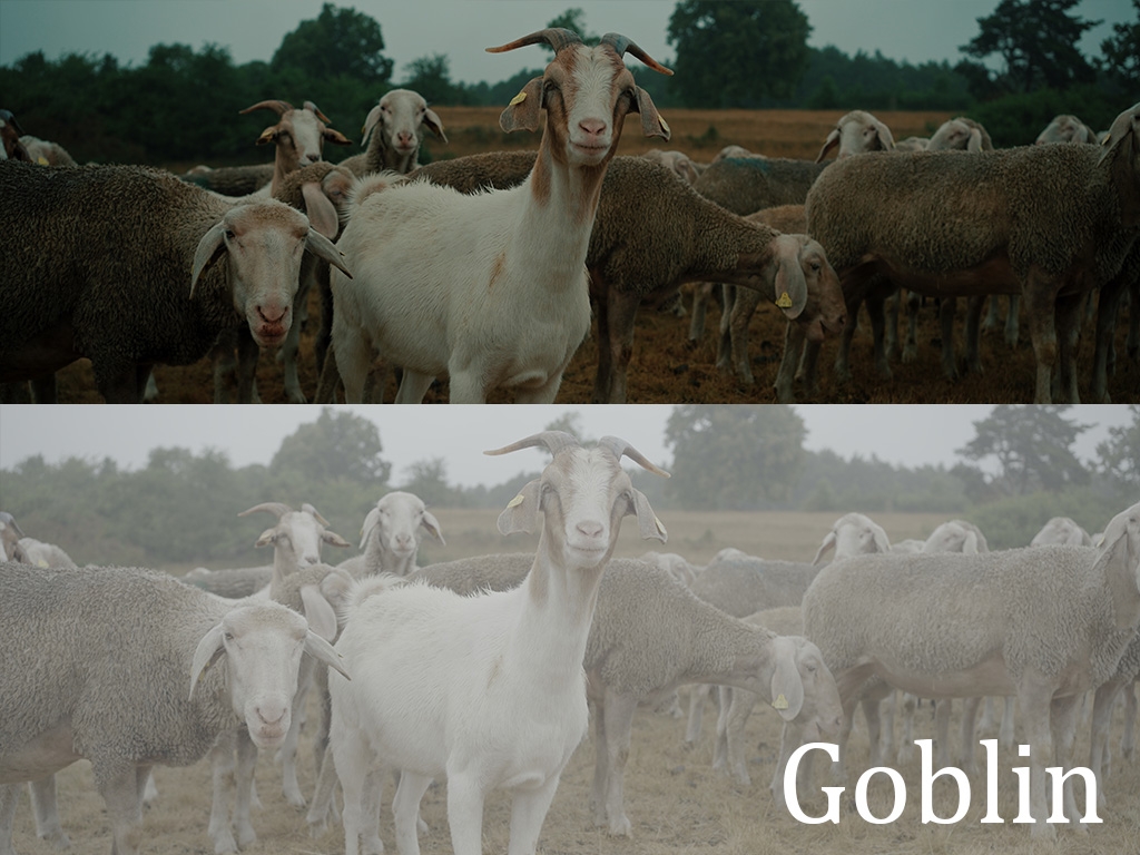 Benedikt Meyer 多维度旅拍景观vlog电影感索尼S-LOG 3预设包 Movie Bundle 插件预设 第5张-素材湾丨精选海外优质设计素材资源 Benedikt Meyer 多维度旅拍景观vlog电影感索尼S-LOG 3预设包 Movie Bundle 插件预设 sucaiwan.com