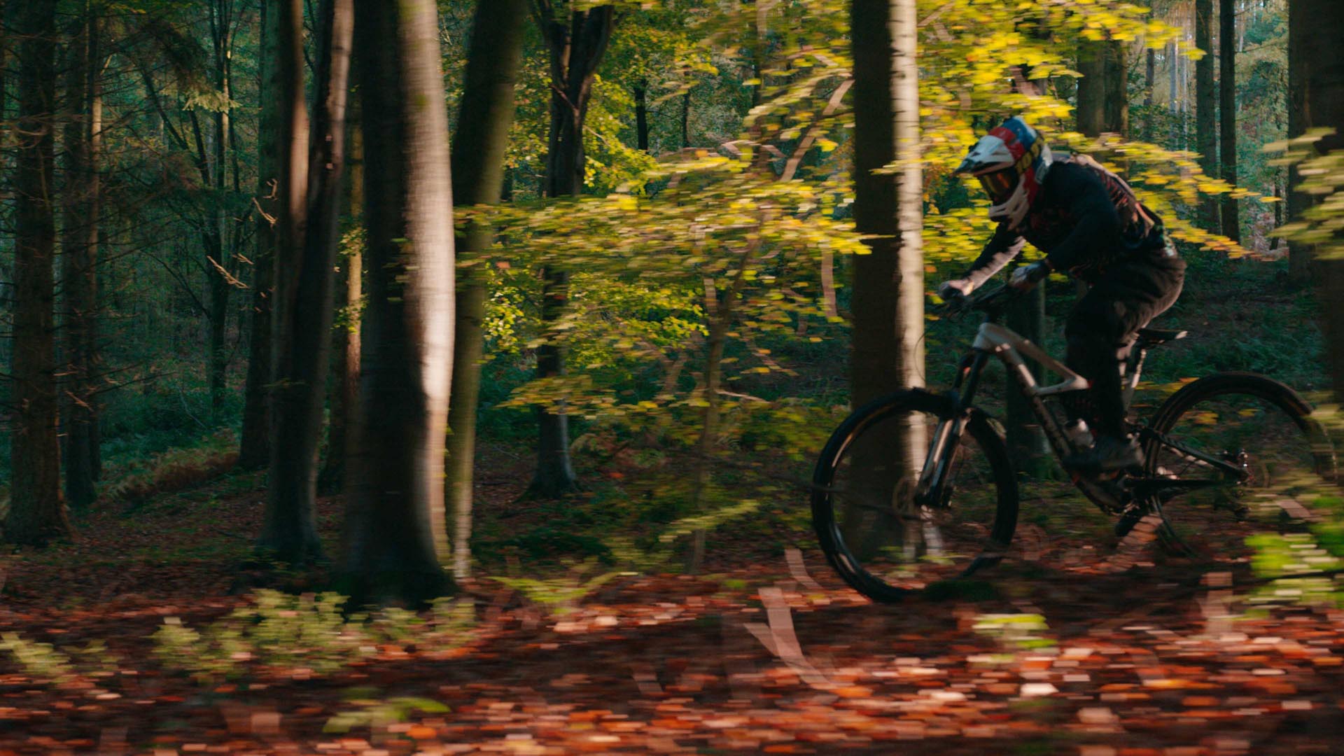 全能电影制作套装13款时尚的电影级LUTs/4K镜头光晕包 The Complete Filmmaking Bundle 插件预设 第3张-素材湾丨精选海外优质设计素材资源 全能电影制作套装13款时尚的电影级LUTs/4K镜头光晕包 The Complete Filmmaking Bundle 插件预设 sucaiwan.com