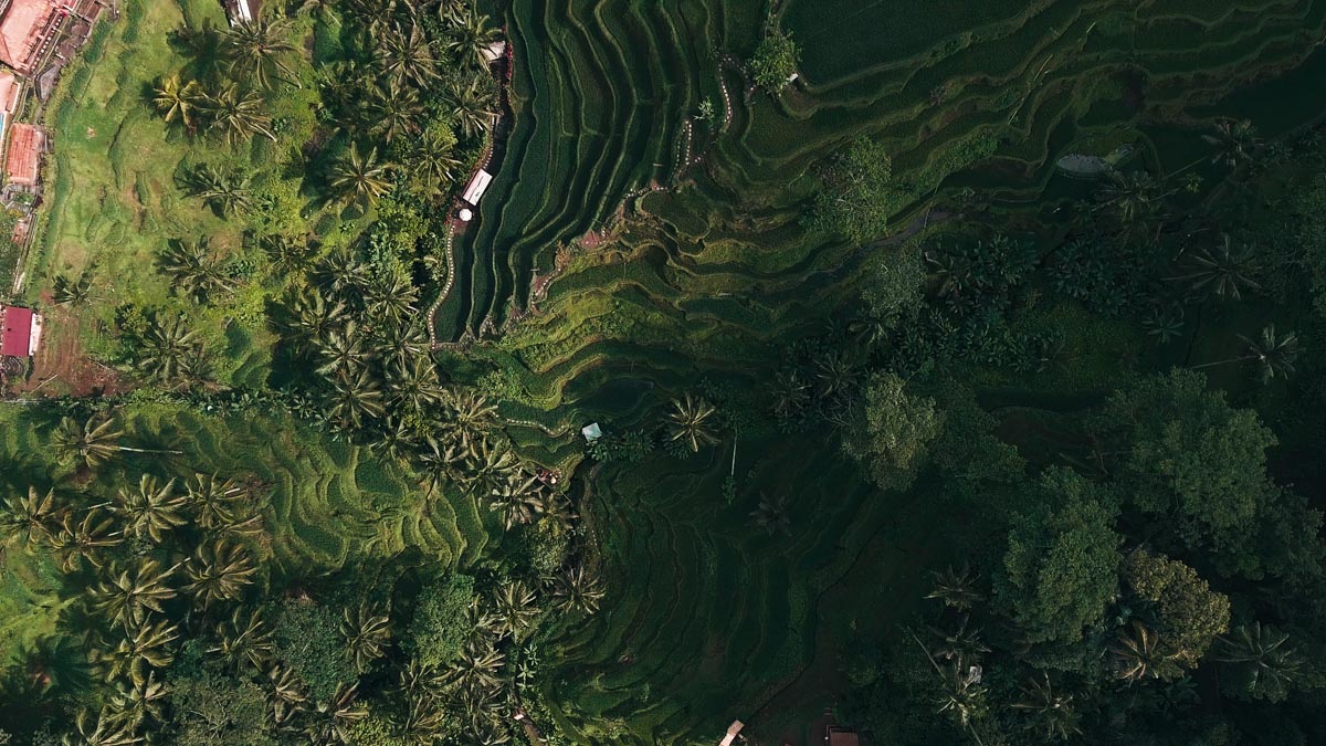 全能电影制作套装13款时尚的电影级LUTs/4K镜头光晕包 The Complete Filmmaking Bundle 插件预设 第5张-素材湾丨精选海外优质设计素材资源 全能电影制作套装13款时尚的电影级LUTs/4K镜头光晕包 The Complete Filmmaking Bundle 插件预设 sucaiwan.com