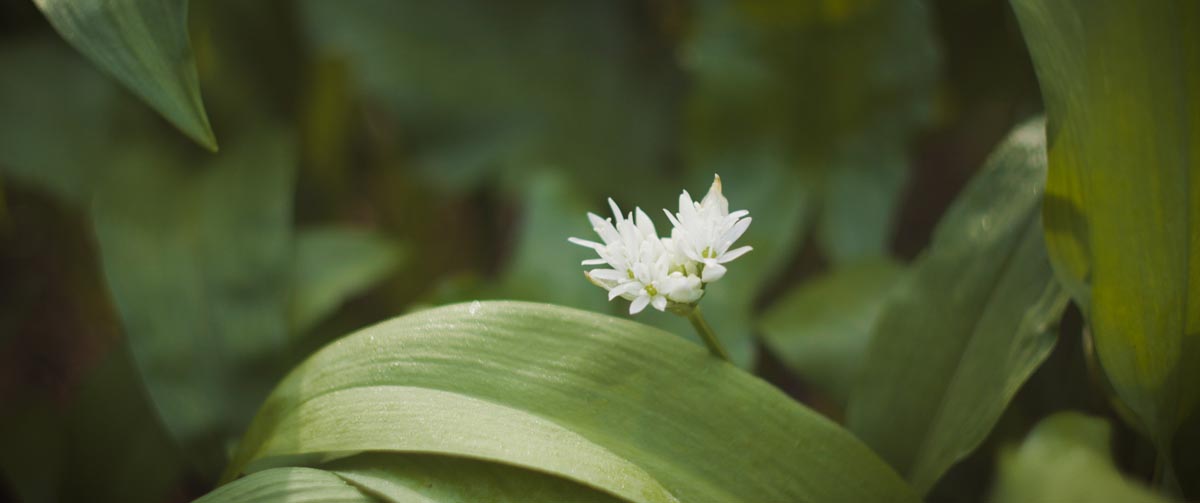 全能电影制作套装13款时尚的电影级LUTs/4K镜头光晕包 The Complete Filmmaking Bundle 插件预设 第9张-素材湾丨精选海外优质设计素材资源 全能电影制作套装13款时尚的电影级LUTs/4K镜头光晕包 The Complete Filmmaking Bundle 插件预设 sucaiwan.com