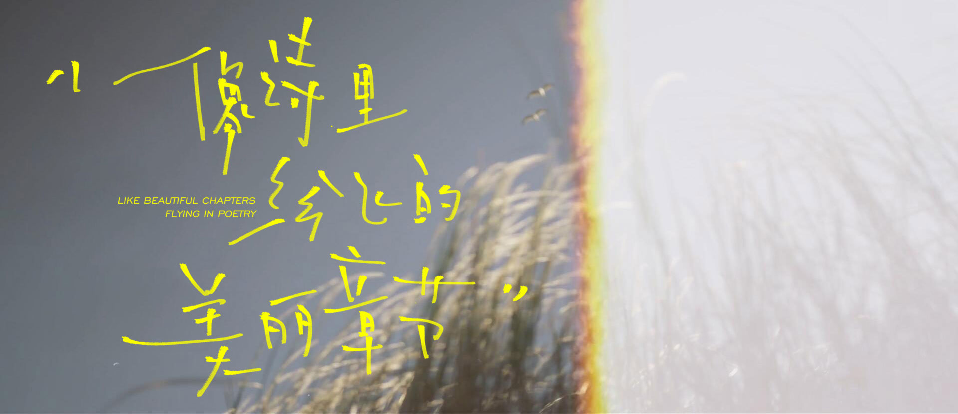 134款文艺情绪风格婚礼手写字旅拍字幕MV手写字封面PNG短片封面制作PSD 设计素材 sucaiwan.com