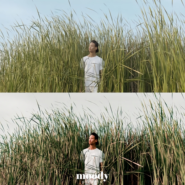 Moody LUTs 111个真实好莱坞电影旅拍vlog仿真颜色分级预设LUTS Cinematic LUTs by Moody Presets 插件预设 第6张-素材湾丨精选海外优质设计素材资源 Moody LUTs 111个真实好莱坞电影旅拍vlog仿真颜色分级预设LUTS Cinematic LUTs by Moody Presets 插件预设 sucaiwan.com