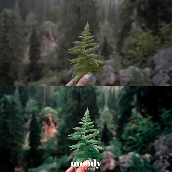 Moody LUTs 111个真实好莱坞电影旅拍vlog仿真颜色分级预设LUTS Cinematic LUTs by Moody Presets 插件预设 第8张-素材湾丨精选海外优质设计素材资源 Moody LUTs 111个真实好莱坞电影旅拍vlog仿真颜色分级预设LUTS Cinematic LUTs by Moody Presets 插件预设 sucaiwan.com