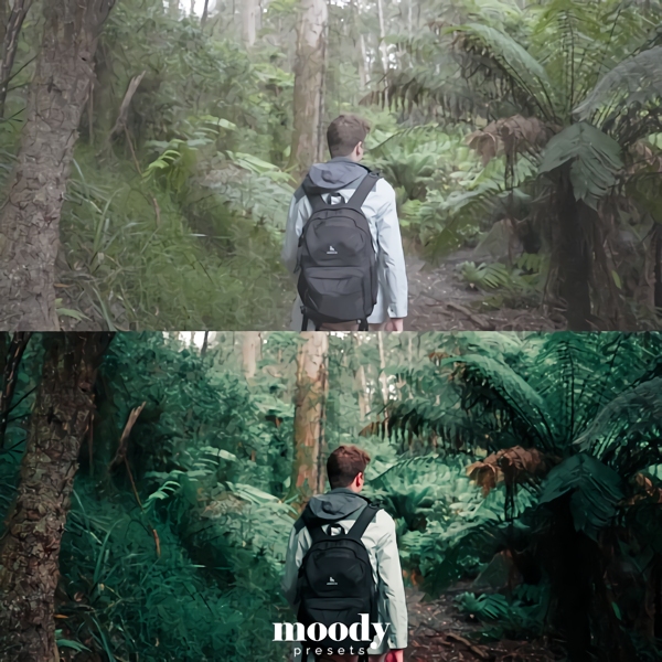 Moody LUTs 111个真实好莱坞电影旅拍vlog仿真颜色分级预设LUTS Cinematic LUTs by Moody Presets 插件预设 第11张-素材湾丨精选海外优质设计素材资源 Moody LUTs 111个真实好莱坞电影旅拍vlog仿真颜色分级预设LUTS Cinematic LUTs by Moody Presets 插件预设 sucaiwan.com