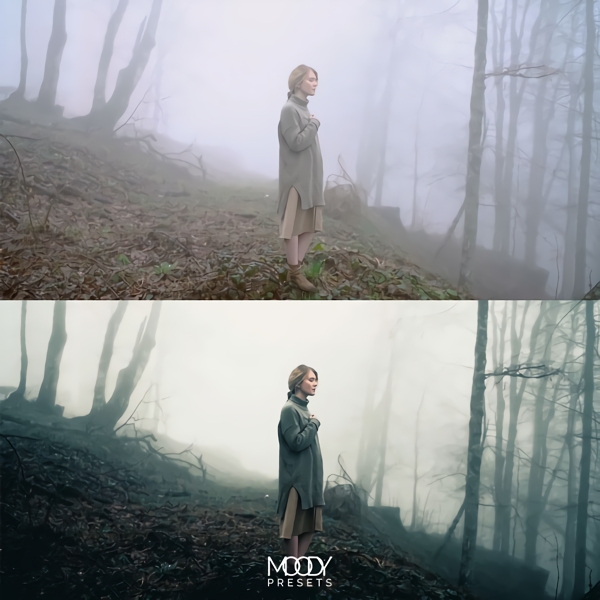 Moody LUTs 111个真实好莱坞电影旅拍vlog仿真颜色分级预设LUTS Cinematic LUTs by Moody Presets 插件预设 第14张-素材湾丨精选海外优质设计素材资源 Moody LUTs 111个真实好莱坞电影旅拍vlog仿真颜色分级预设LUTS Cinematic LUTs by Moody Presets 插件预设 sucaiwan.com