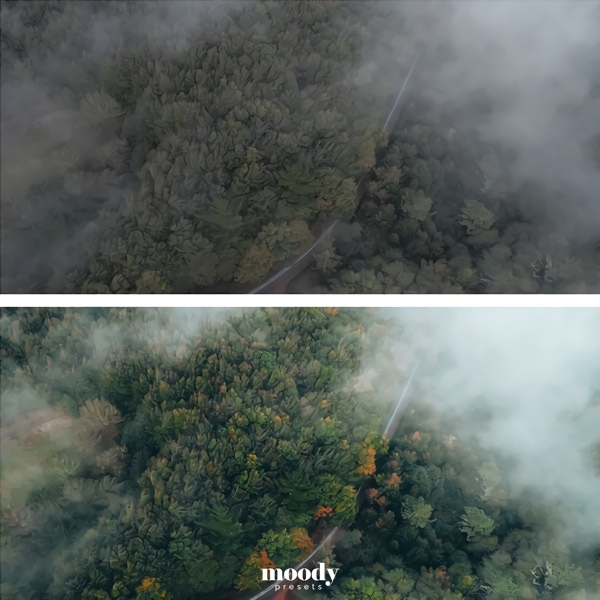 Moody LUTs 111个真实好莱坞电影旅拍vlog仿真颜色分级预设LUTS Cinematic LUTs by Moody Presets 插件预设 第16张-素材湾丨精选海外优质设计素材资源 Moody LUTs 111个真实好莱坞电影旅拍vlog仿真颜色分级预设LUTS Cinematic LUTs by Moody Presets 插件预设 sucaiwan.com