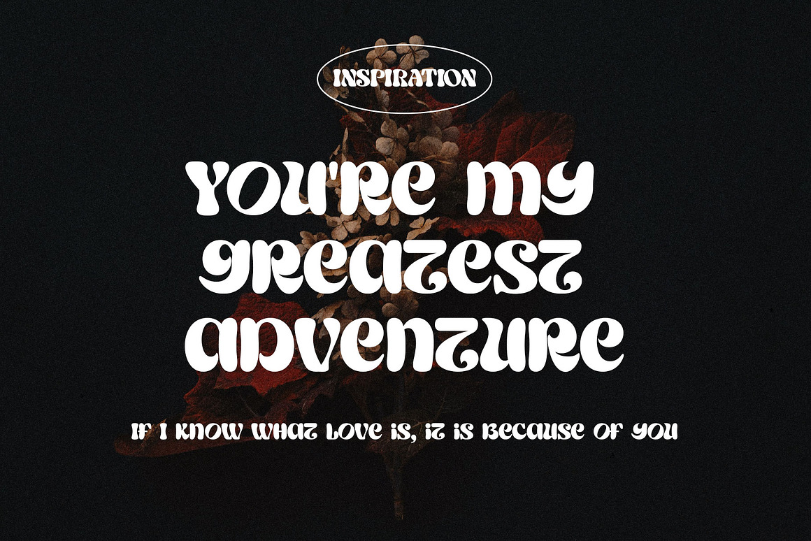 现代趣味柔和粗体曲线徽标杂志海报标题LOGO设计衬线英文字体素材 Salish Lodge a Display Typeface 设计教程 sucaiwan.com