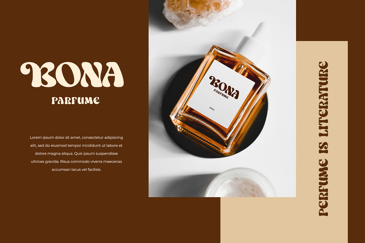 现代趣味柔和粗体曲线徽标杂志海报标题LOGO设计衬线英文字体素材 Salish Lodge a Display Typeface 设计教程 sucaiwan.com