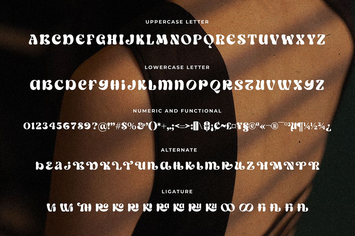 现代趣味柔和粗体曲线徽标杂志海报标题LOGO设计衬线英文字体素材 Salish Lodge a Display Typeface 设计教程 sucaiwan.com