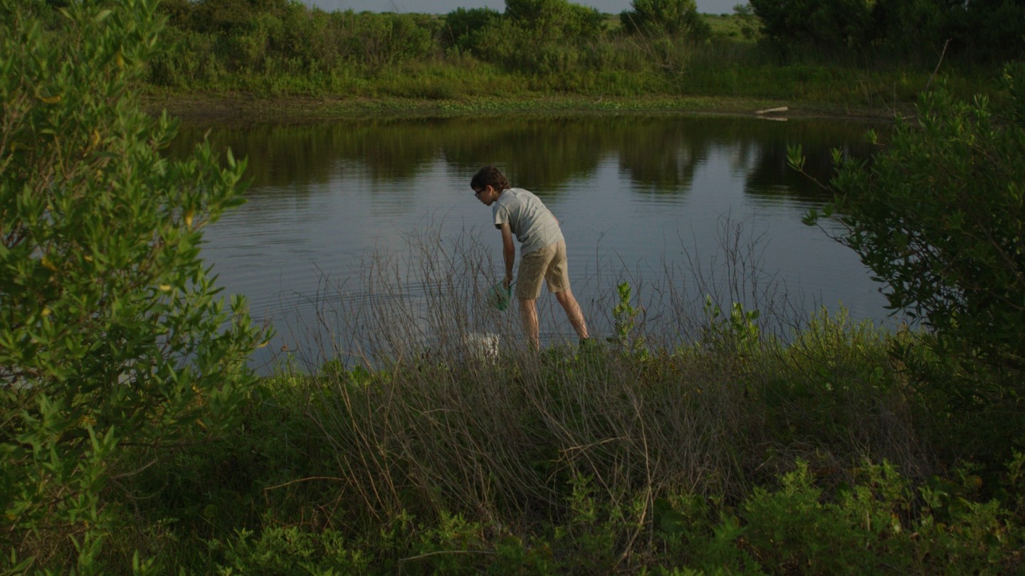 Phantom LUTs – Canon LUTs 佳能C-Log2、C-Log3转阿莱胶片色彩商业LUT调色预设包 Joel Famularo Phantom LUTs for Canon Cinema Cameras 插件预设 第6张-素材湾丨精选海外优质设计素材资源 Phantom LUTs – Canon LUTs 佳能C-Log2、C-Log3转阿莱胶片色彩商业LUT调色预设包 Joel Famularo Phantom LUTs for Canon Cinema Cameras 插件预设 sucaiwan.com