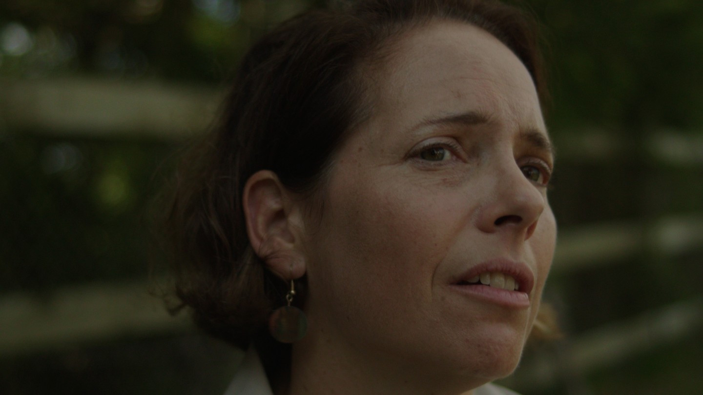 Phantom LUTs – Canon LUTs 佳能C-Log2、C-Log3转阿莱胶片色彩商业LUT调色预设包 Joel Famularo Phantom LUTs for Canon Cinema Cameras 插件预设 第7张-素材湾丨精选海外优质设计素材资源 Phantom LUTs – Canon LUTs 佳能C-Log2、C-Log3转阿莱胶片色彩商业LUT调色预设包 Joel Famularo Phantom LUTs for Canon Cinema Cameras 插件预设 sucaiwan.com